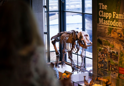 Grand Rapids Public Museum (1)