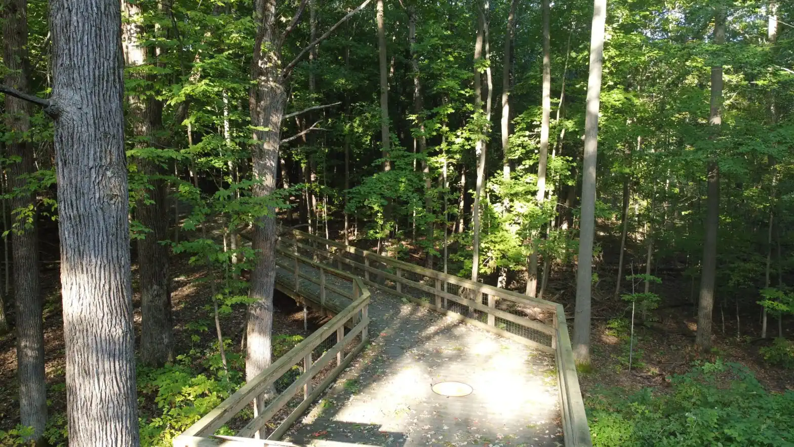 davison pathway